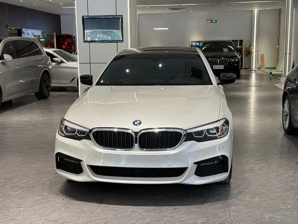 BMW 5 Series — миниатюра 6