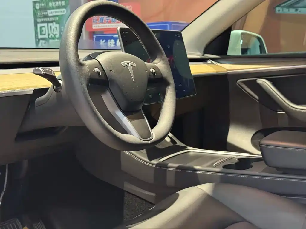 Tesla Model Y — миниатюра 9
