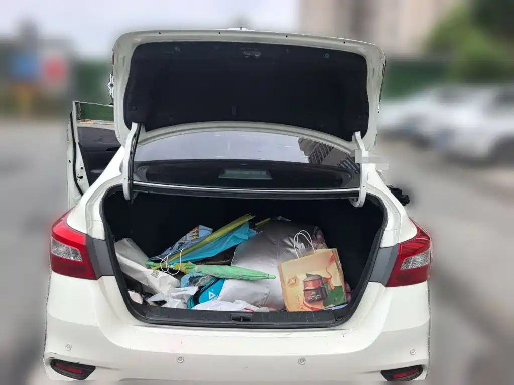 Nissan Sylphy — миниатюра 10