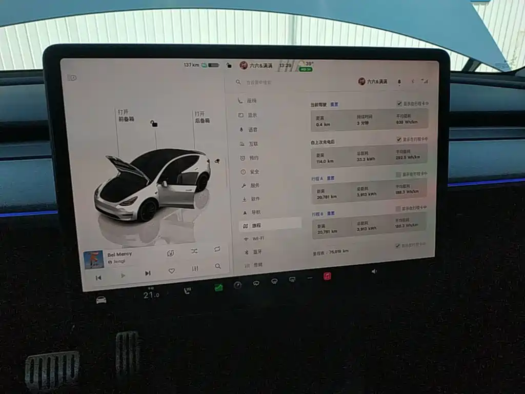 Tesla Model Y — миниатюра 12