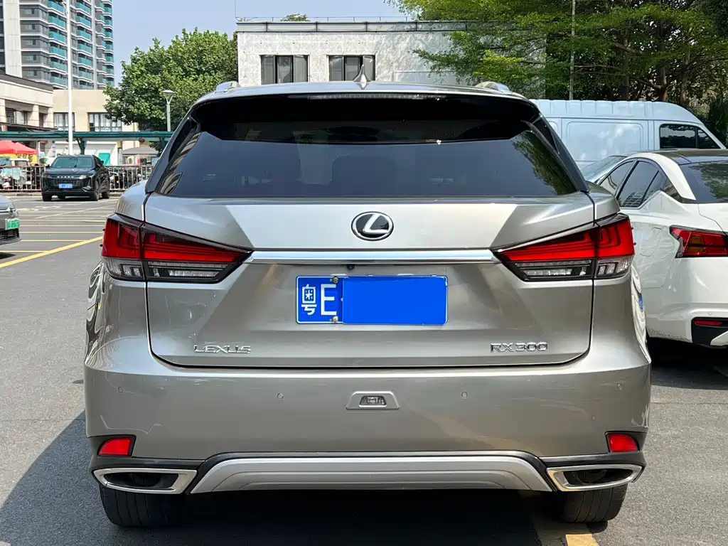 LEXUS RX