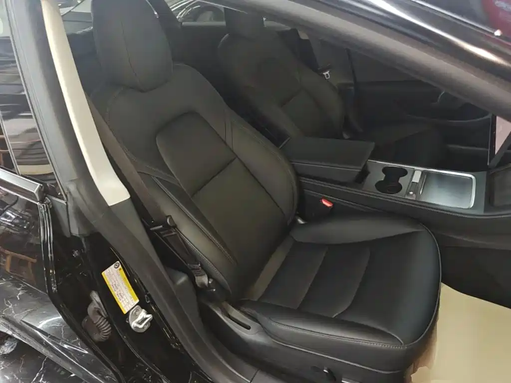Tesla Model 3 — миниатюра 25