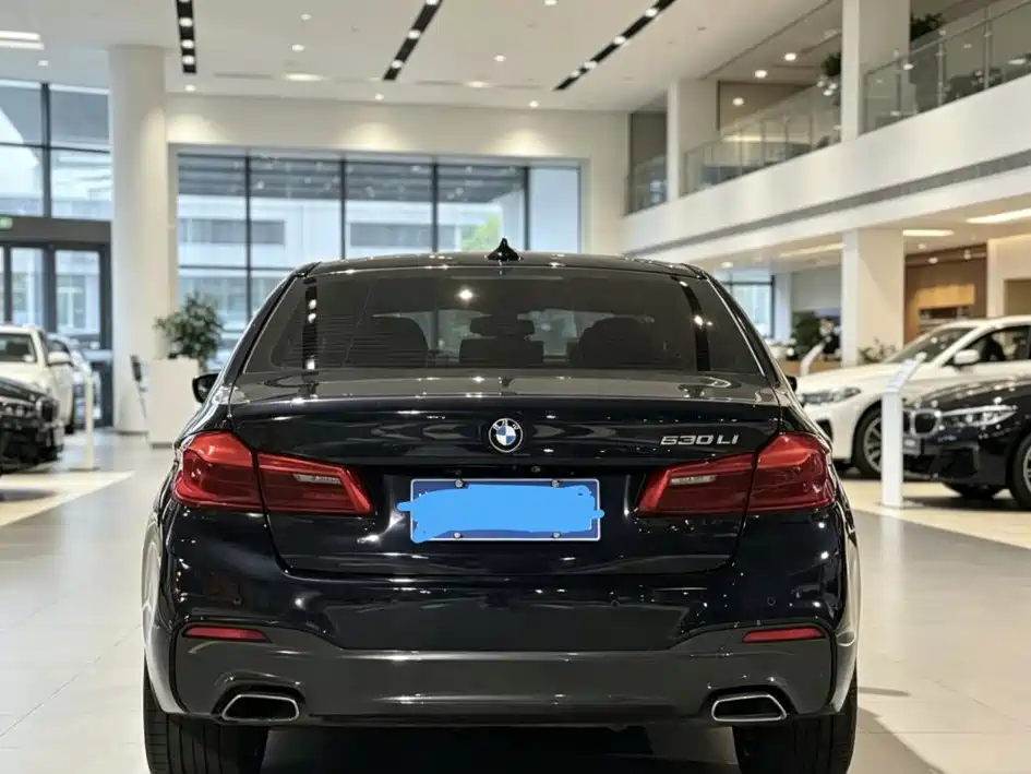 BMW 5 Series — миниатюра 5