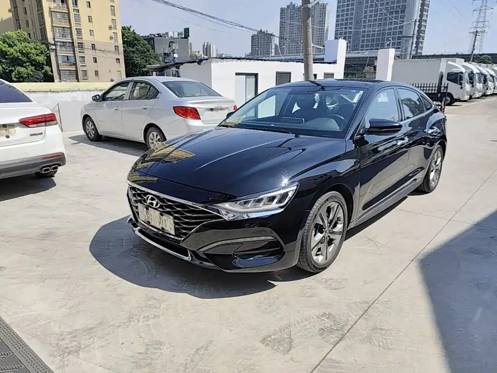 Hyundai Fista — миниатюра 2