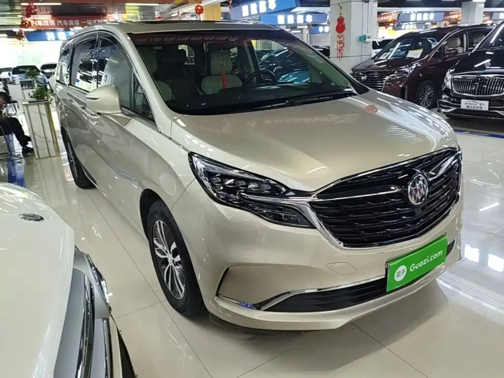 Buick GL8 — миниатюра 4
