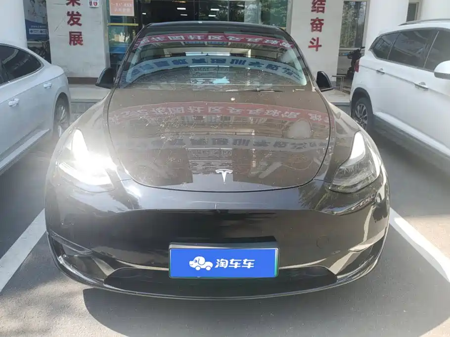 Tesla Model Y — миниатюра 2