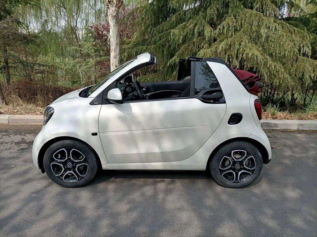 smart Smart Fortwo — миниатюра 12