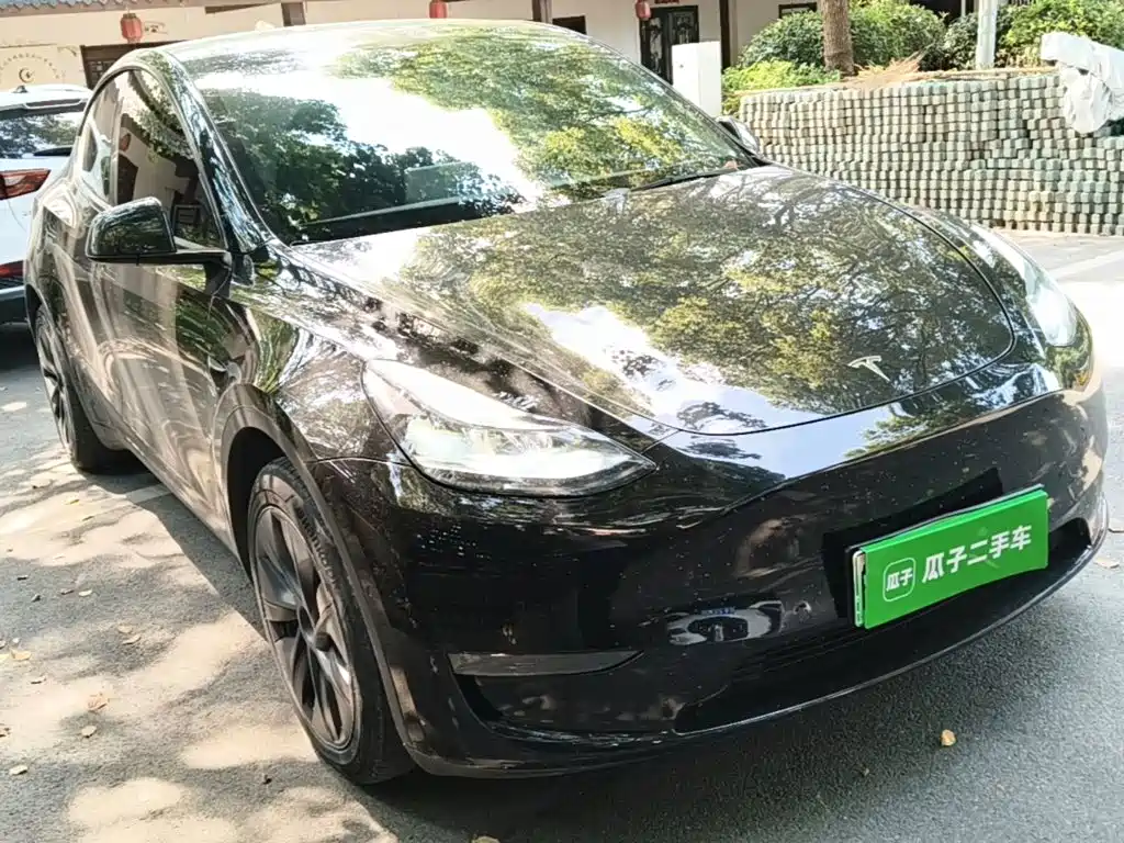 Tesla Model Y — миниатюра 4