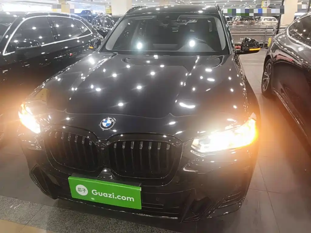 BMW X3 — миниатюра 3