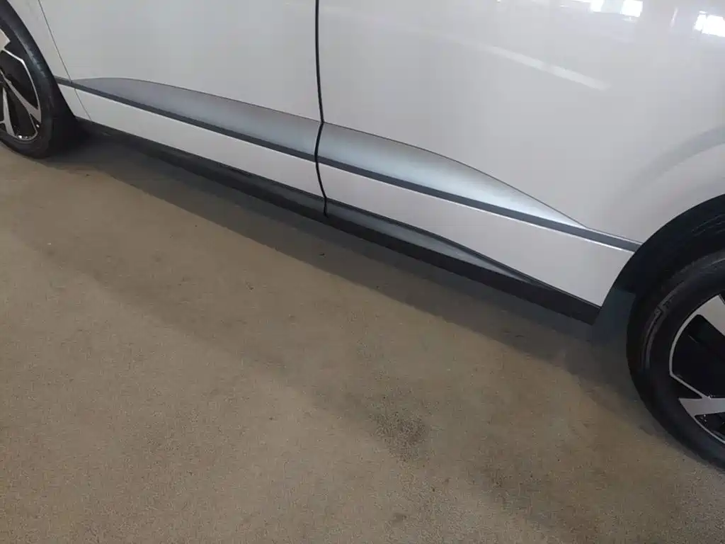 BYD Haisi 06 — миниатюра 22