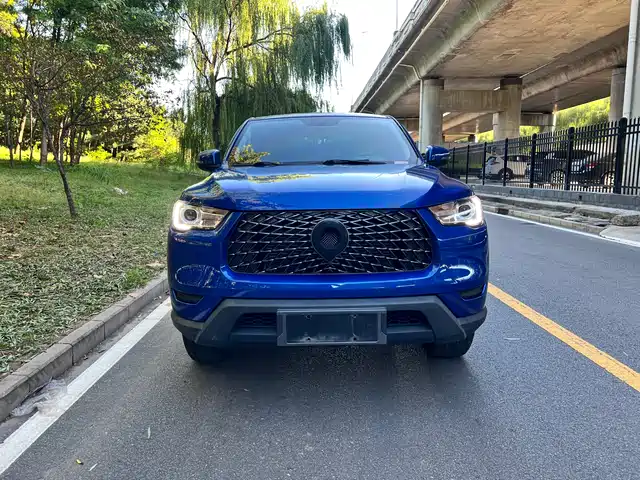 GREAT WALL CANNON 2022