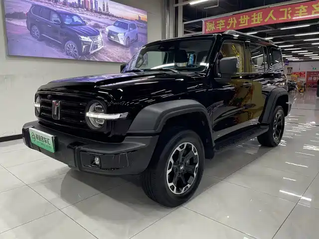 2025 TANK 300