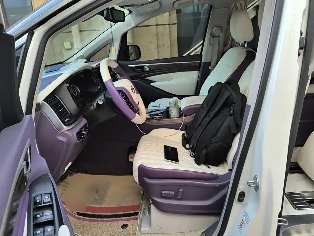 GAC Motor Trumpchi M8 — миниатюра 8