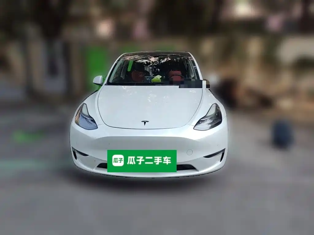 Tesla Model Y — миниатюра 2