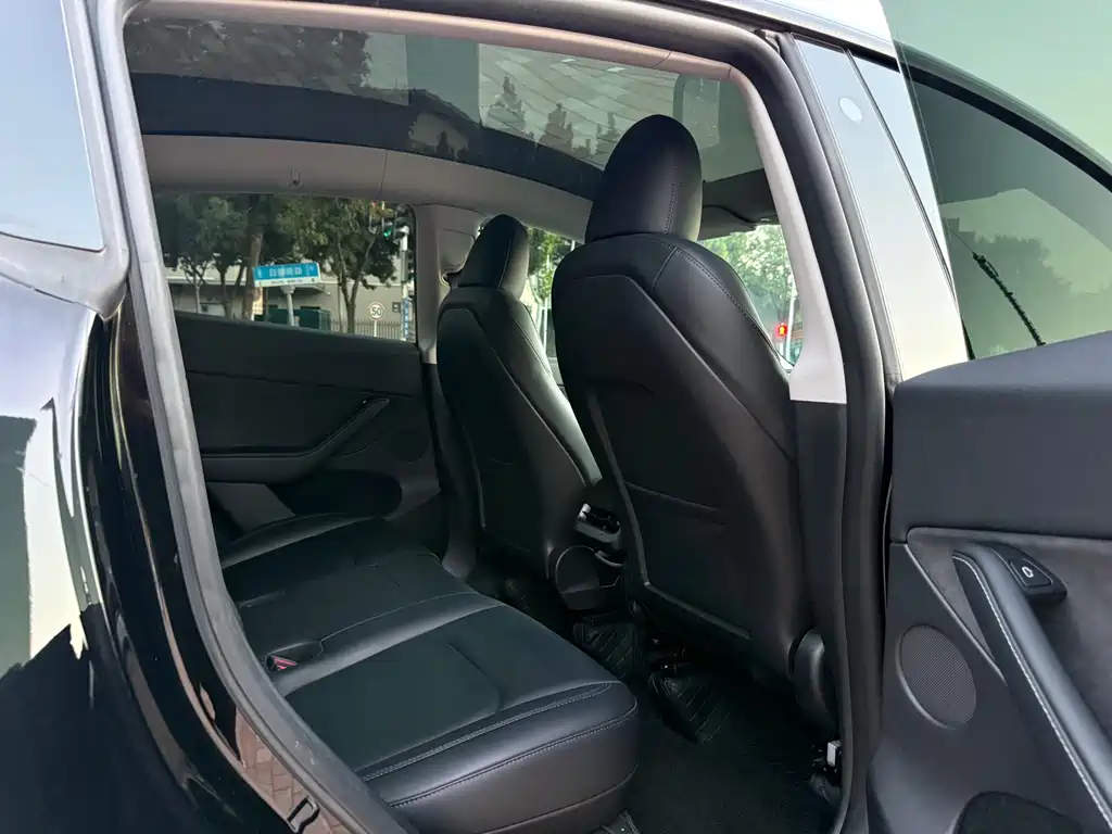 Tesla Model Y — миниатюра 6