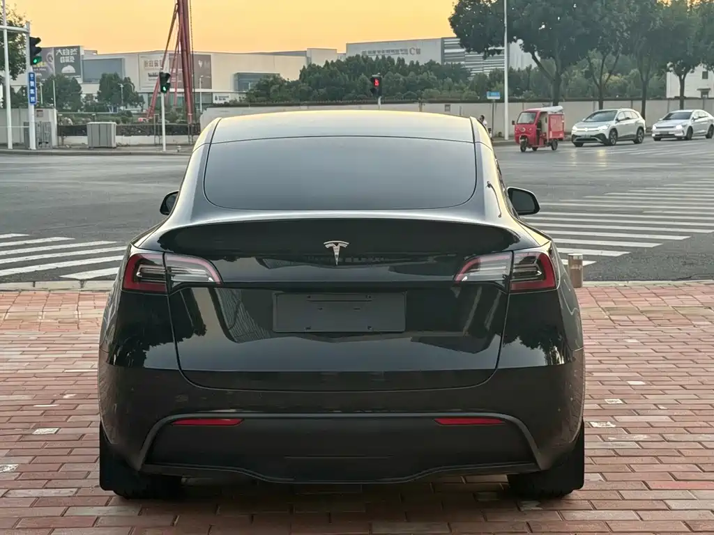 Tesla Model Y — миниатюра 10