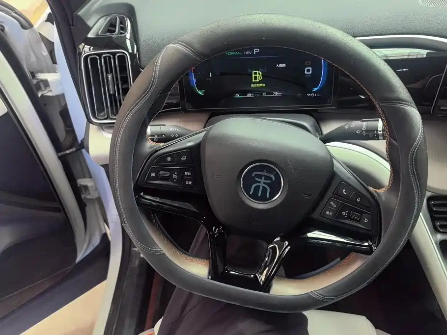 BYD Pro New Energy — миниатюра 15