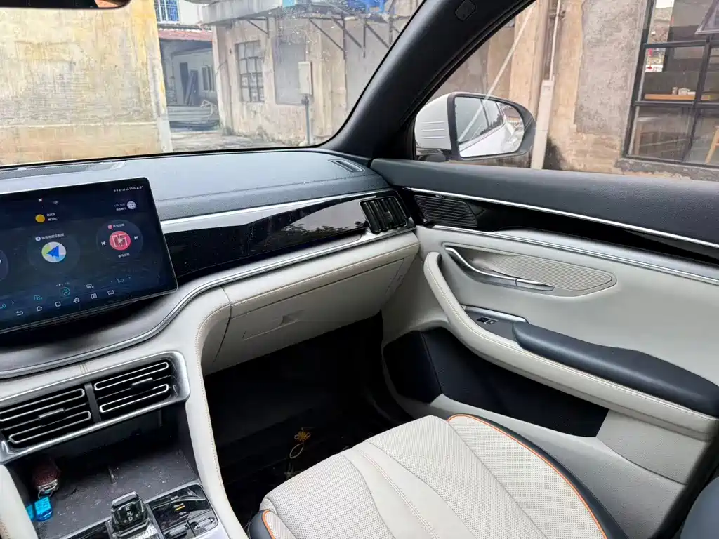 BYD PLUS New Energy — миниатюра 8