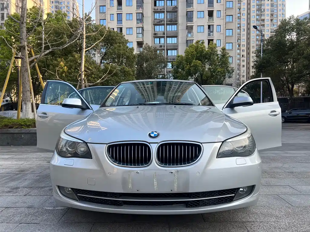 BMW 5 Series 2010