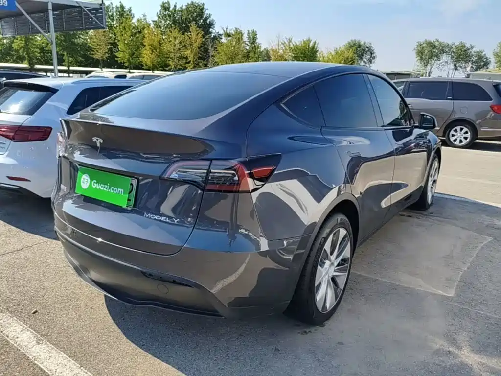 Tesla Model Y — миниатюра 7