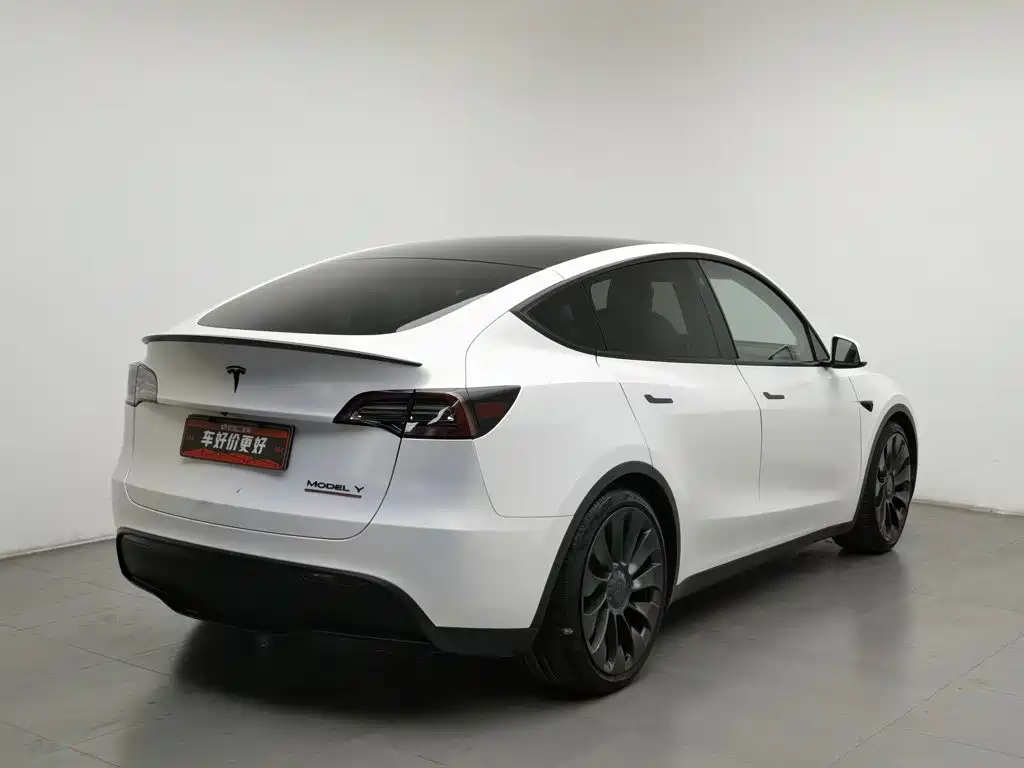 Tesla Model Y — миниатюра 2