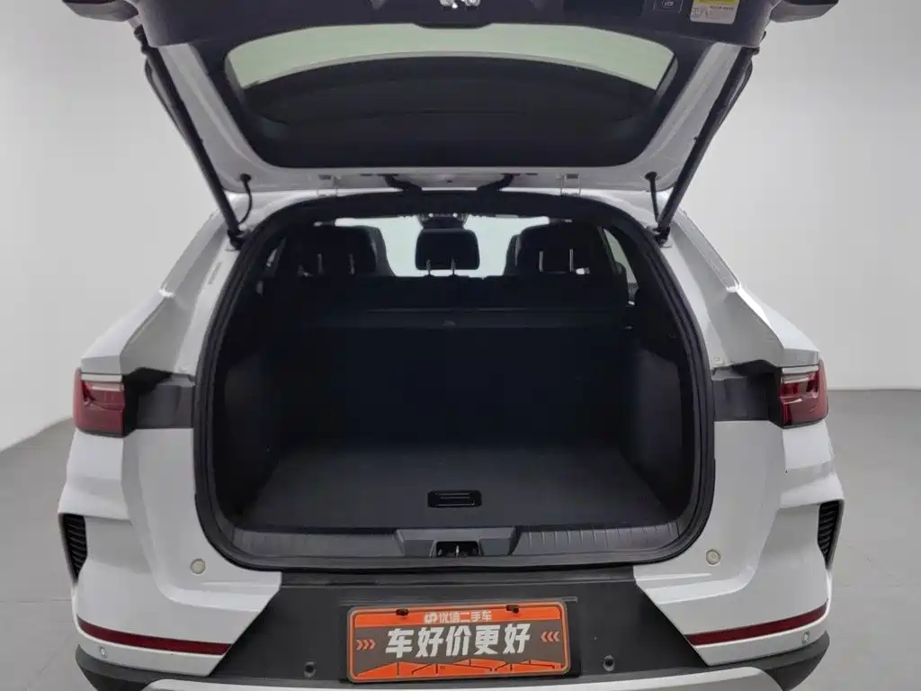 BYD PLUS — миниатюра 16