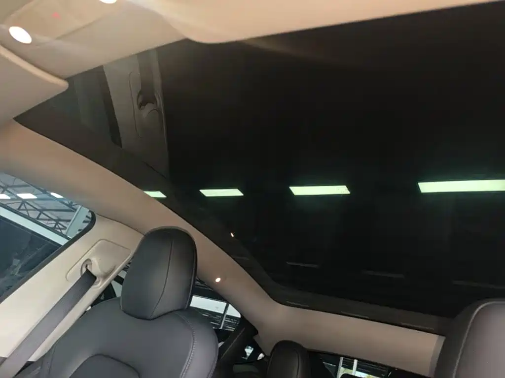 Tesla Model Y — миниатюра 18