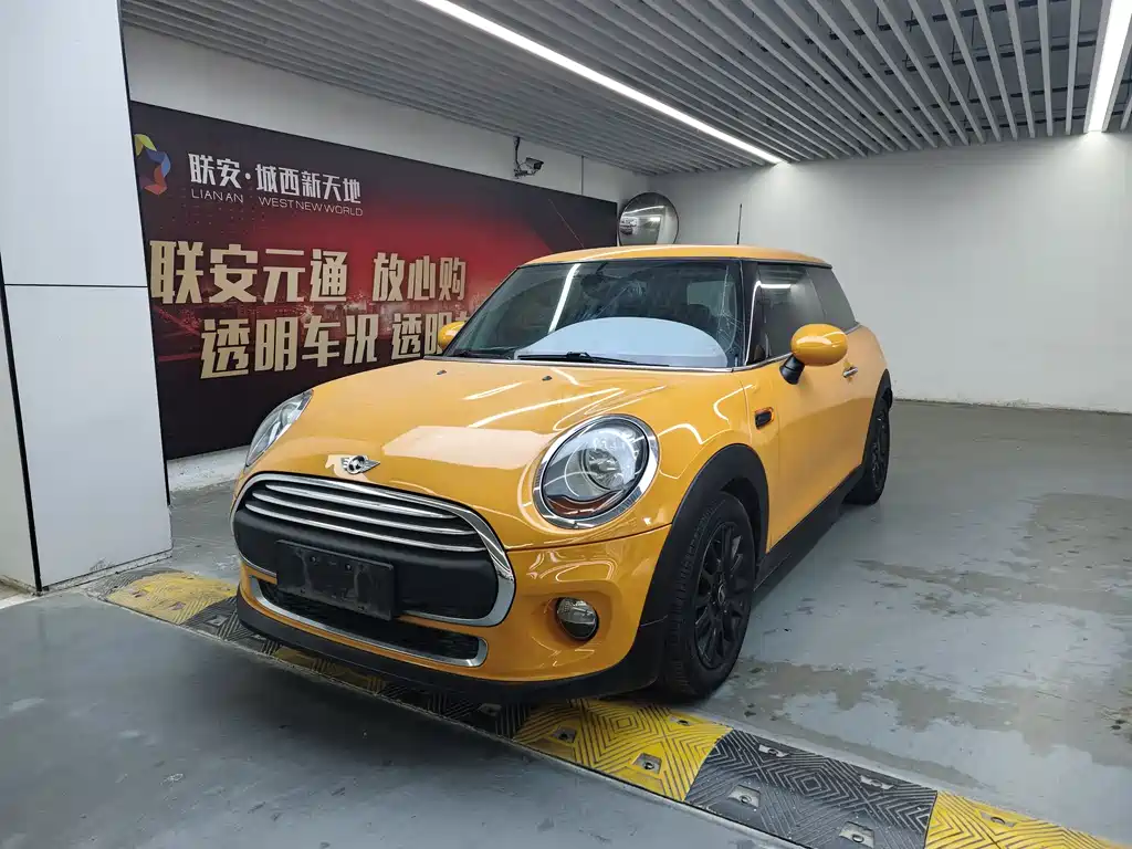 Mini Mini 2017