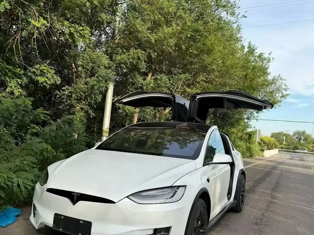 Tesla Model X — миниатюра 2