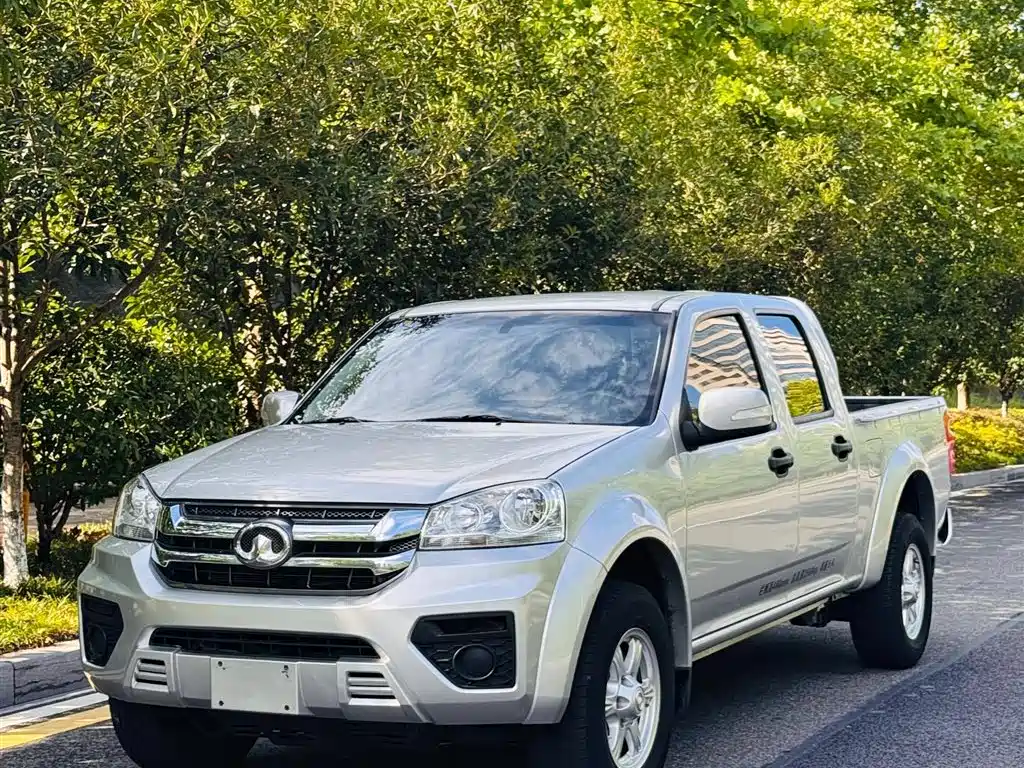 GREAT WALL FENGJUN 5