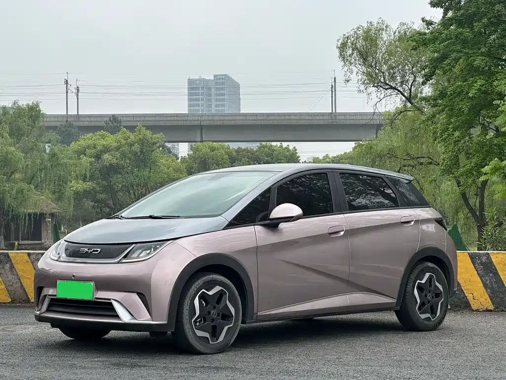 Byd Dolphin 2022