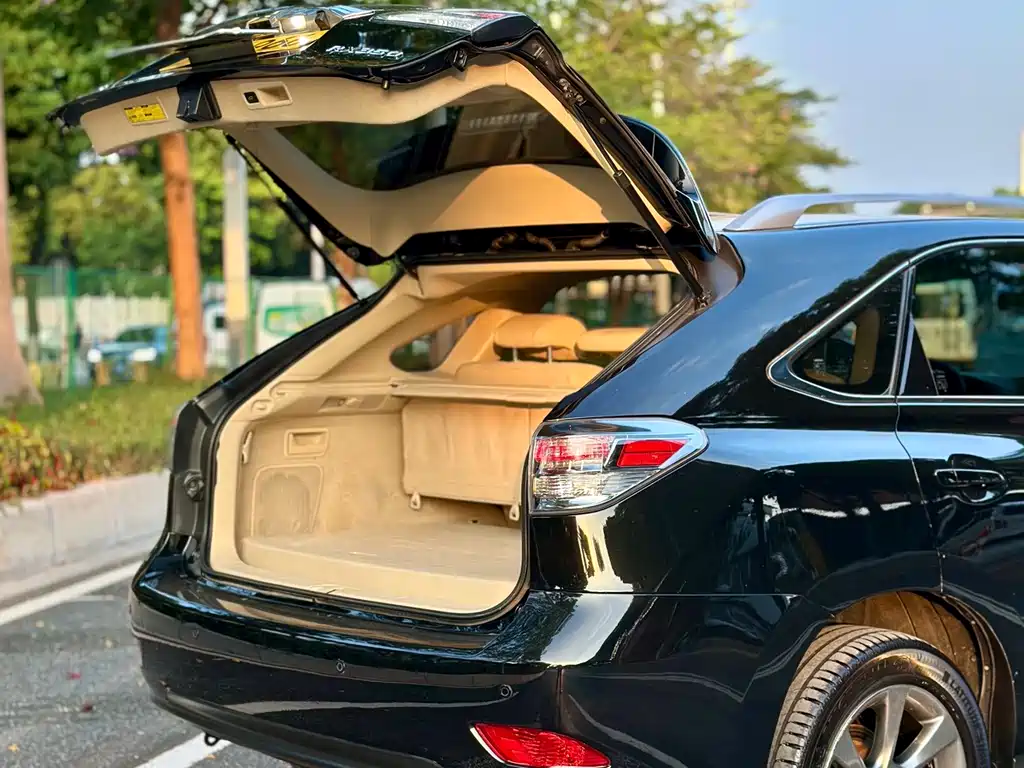 Lexus RX Classic — миниатюра 7