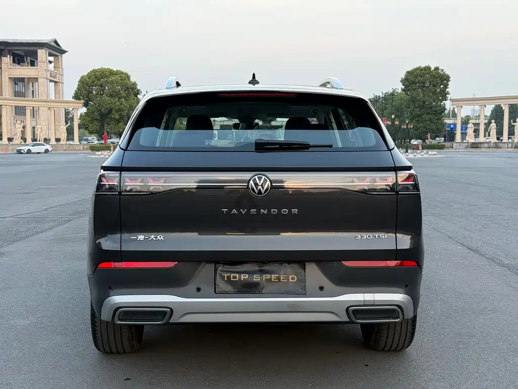 Volkswagen Tavendor — миниатюра 7