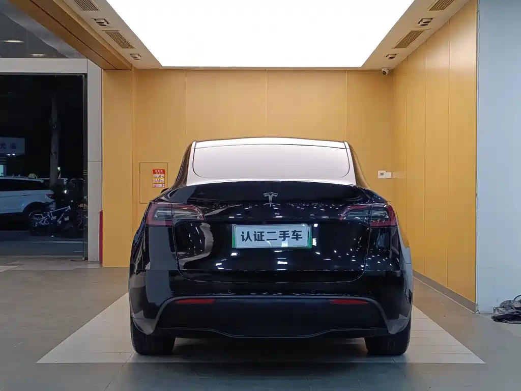 Tesla Model Y — миниатюра 22