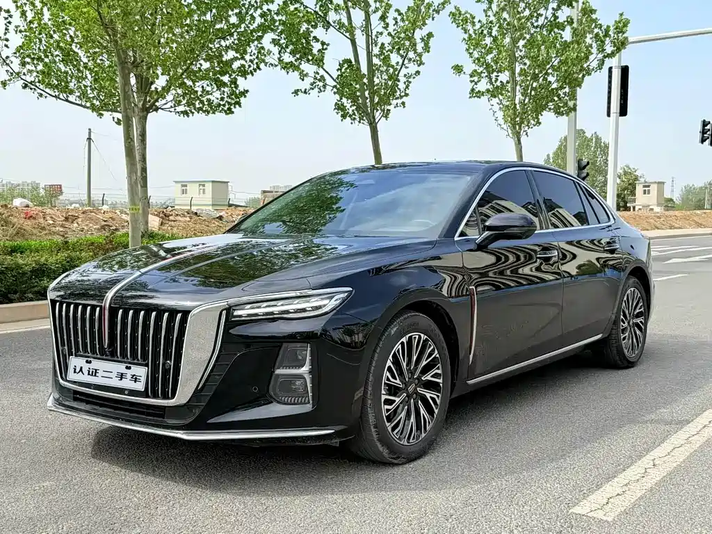 Hongqi Hongqi H5 2024