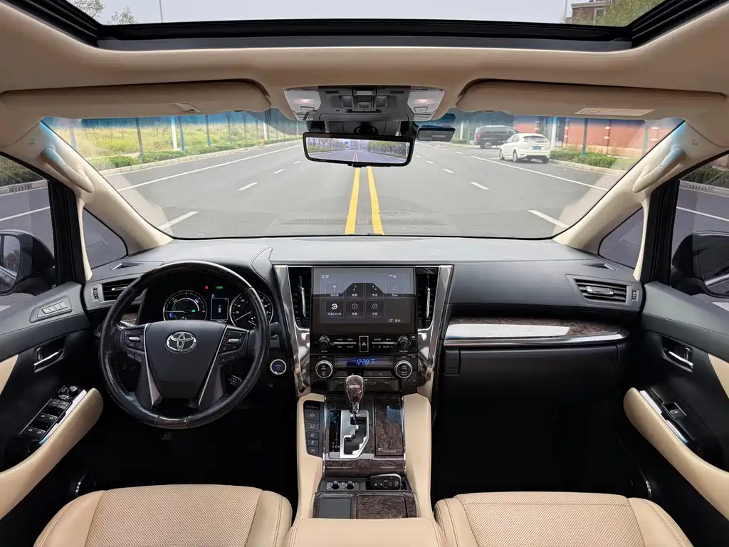 Toyota Alphard — миниатюра 12