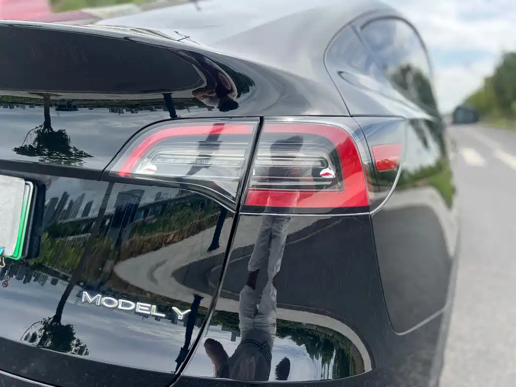 Tesla Model Y — миниатюра 10