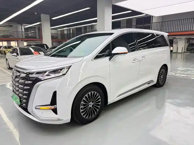 Denza D9