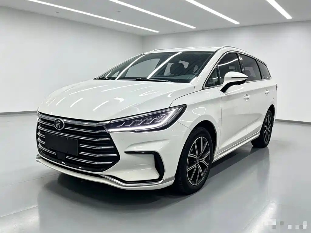BYD MAX New Energy
