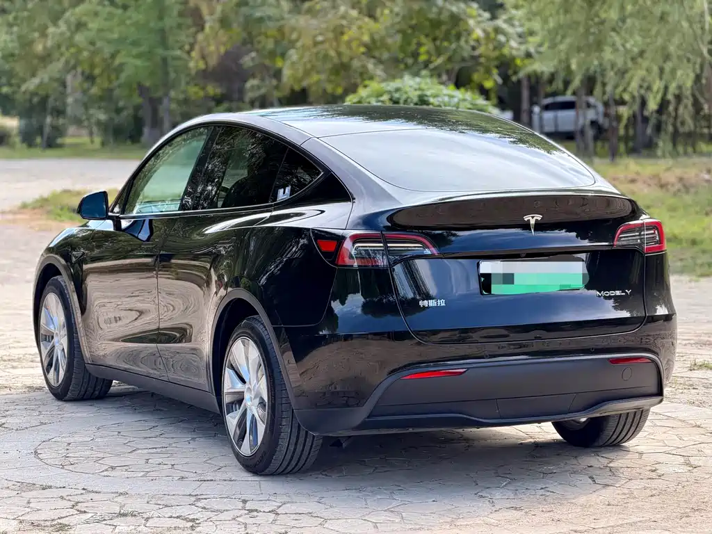 Tesla Model Y — миниатюра 17
