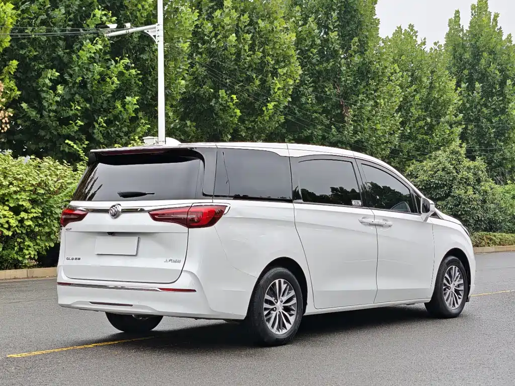 Buick GL8 — миниатюра 8