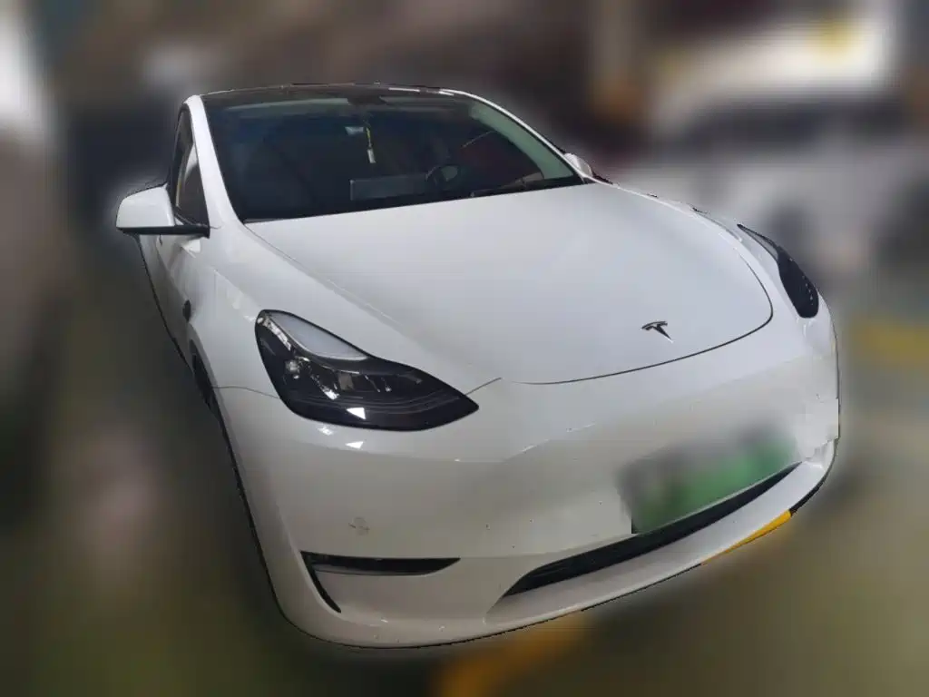 Tesla Model Y — миниатюра 24