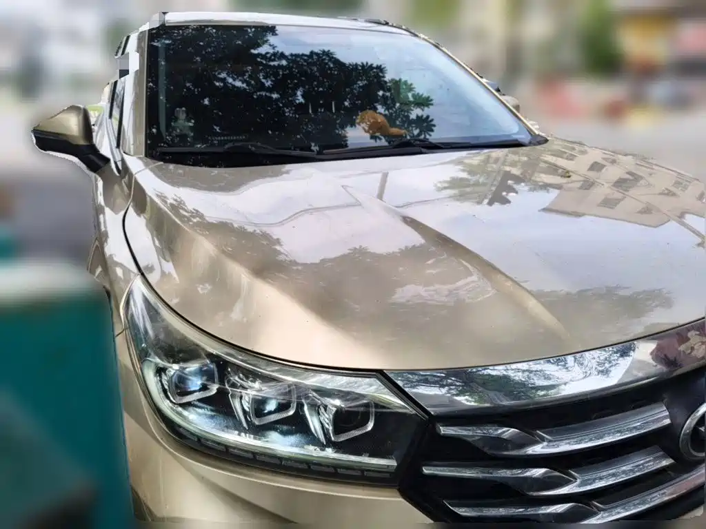 GAC Motor Trumpchi GS4 — миниатюра 24