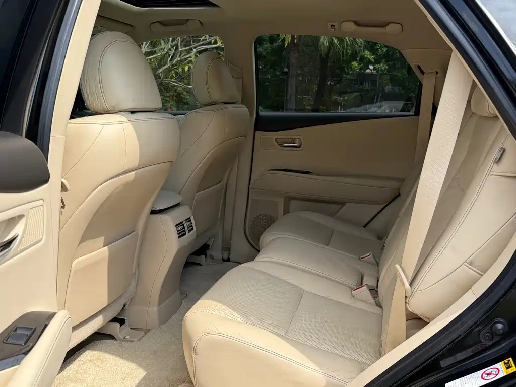 Lexus RX Classic — миниатюра 9