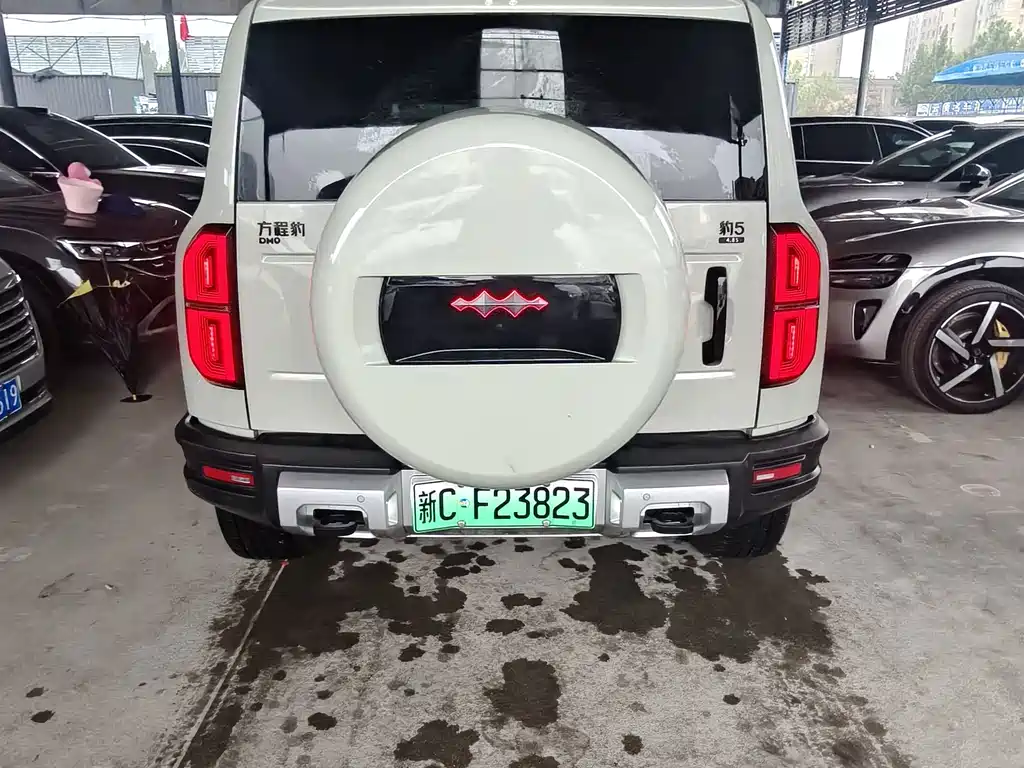 Fang Cheng Bao Leopard 5 — миниатюра 5