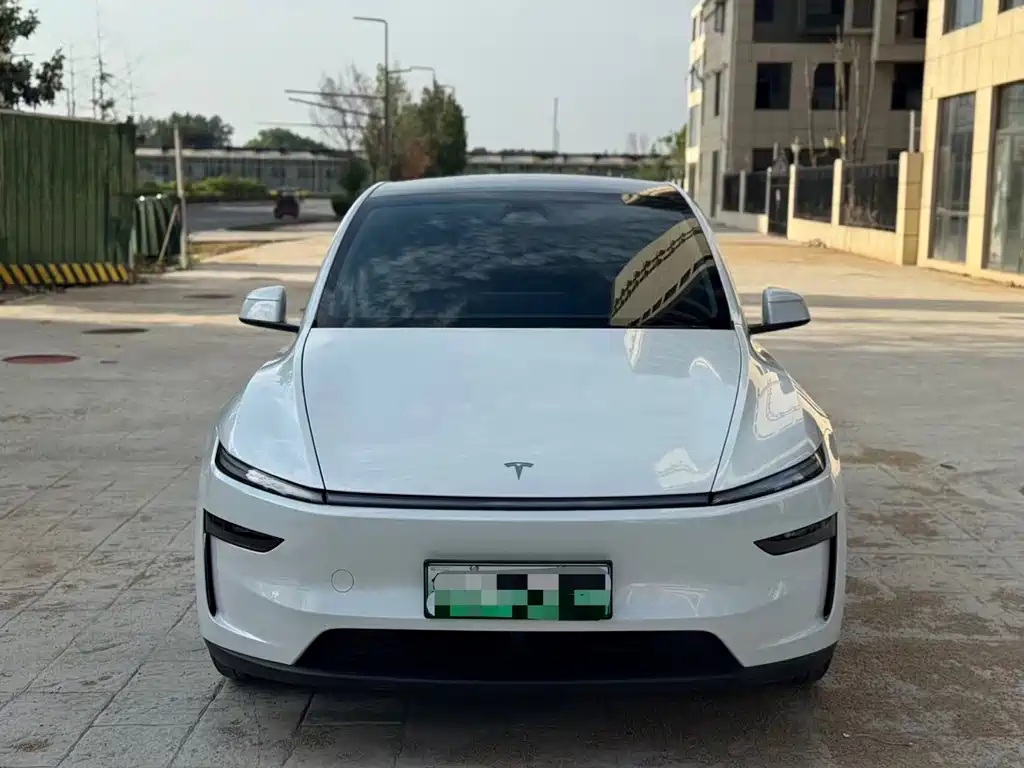 Tesla Model Y — миниатюра 2