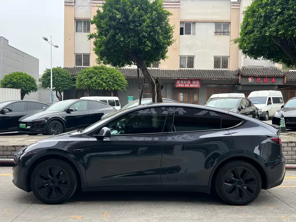 Tesla Model Y — миниатюра 4