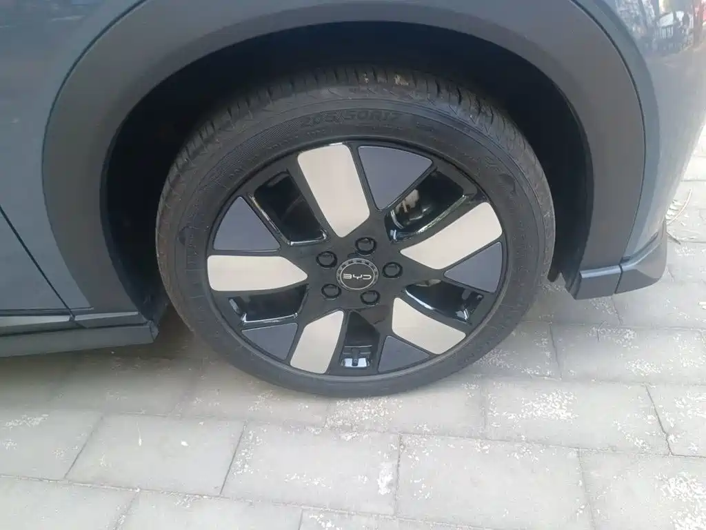 BYD Dolphin — миниатюра 25