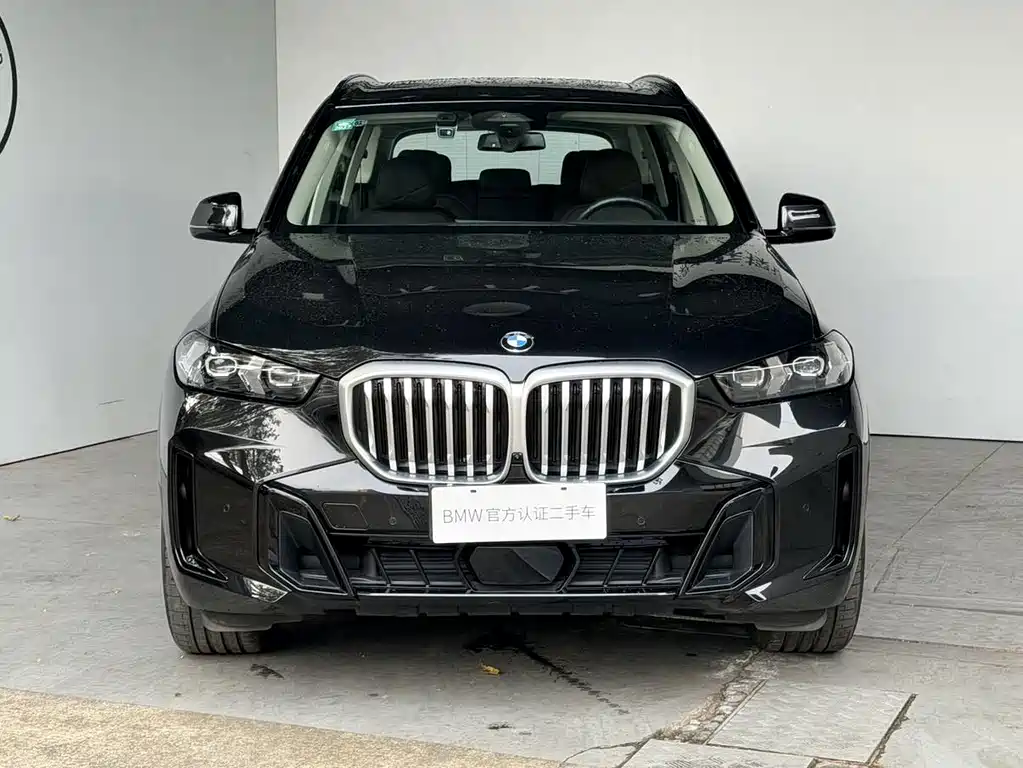 BMW X5 — миниатюра 2