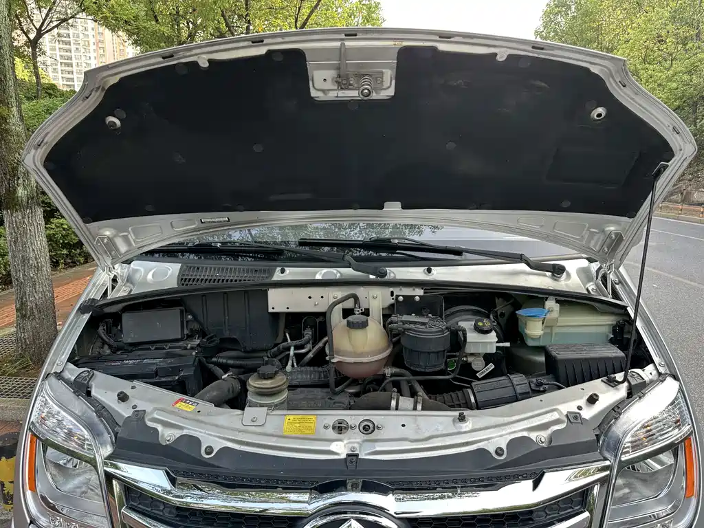MAXUS V80 — миниатюра 34